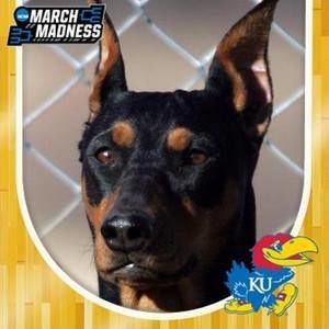 Meet your Posher, Byron